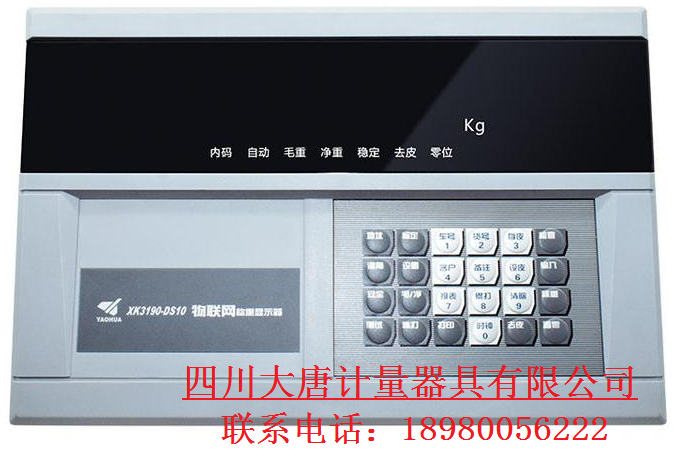 称重控制仪  仪表  显示器 
