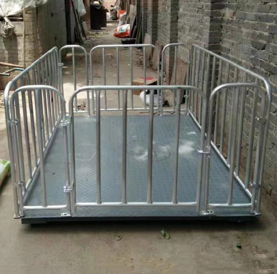 畜牧秤（chèng）加（jiā）圍欄安裝現場